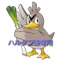 ハルタン様専用