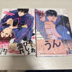 高のインプレッション & THE SICK SIRENE 2冊セット