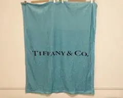 Item thumbnail for item d5e1fcc4-560f-4c01-b8a8-77ca177f1c74