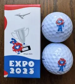 Mizuno Expo 2025 ゴルフボール 2個入りのサムネイル