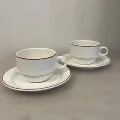 Villeroy & Boch ビレロイボッホ カップ＆ソーサー 2客セット