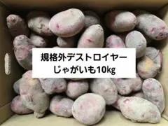 長崎県産超小粒デストロイヤーじゃがいも10㎏ - メルカリ