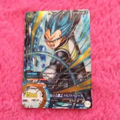 ドラゴンボール カード ICカードダス 昂ぶる闘志 SSGSSベジータ