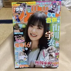 Item thumbnail for item 2f136bc3-90c4-4b23-885f-314dcedf3183