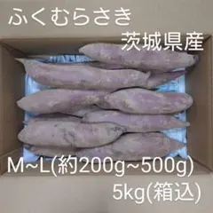 ふくむらさき 20kg(箱込) M~L(約200g～500g) 茨城県産 ふくむらさき 5kg(箱込) M~L(約200g～500g) 茨城県産 - メルカリ