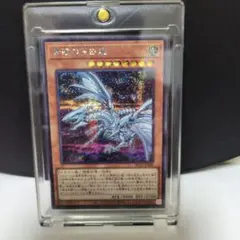 2025年最新】ブルーアイズオルタナティブホワイトドラゴンの人気