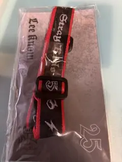 straykids リノ エコパ