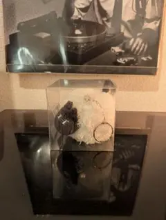 羊文学 FC限定 ねこひつじちゃん 「月刊 羊文学」会員限定 猫が好き