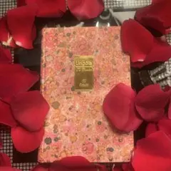 Item thumbnail for item 7706ed96-67da-49a2-9d16-c162ef7e3778