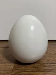 すこやか ポットタイプ ホワイト（大）