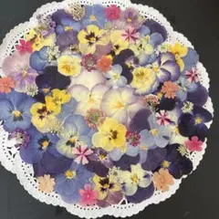 Item thumbnail for item b045d01d-b6f0-4bba-b606-5c602e942669