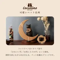 Item thumbnail for item 803aa717-a9ad-496d-8783-2275602dbe66