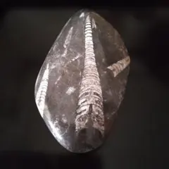 Item thumbnail for item 1a100c88-5b2a-4278-815f-d11e4e405e02