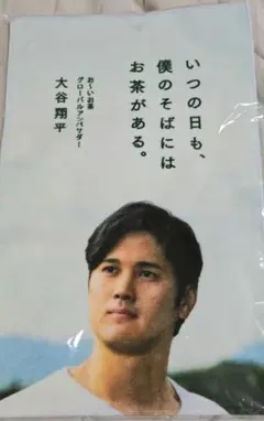 Item thumbnail for item a4e4718e-6635-4de3-84f5-073dbbddc2be