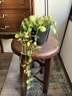 ハニワ様 リクエスト 2点 まとめ商品