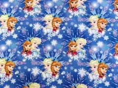 幅110x50cm エルサ アナ　プリンセス　ディズニー　綿　生地