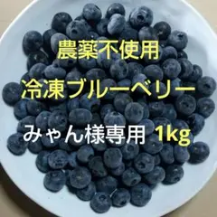 2026年最新】カナダ産 大容量冷凍ブルーベリー 2kgの人気アイテム 