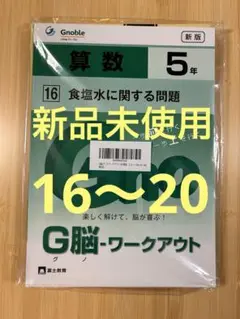 グノーブル　G脳　ワークアウト　5年 Amazon.co.jp: G脳(グノ)-ワークアウト5年算数 Iセット(No.1~5