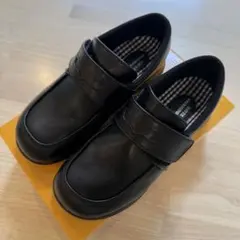 Item thumbnail for item d3452712-8a41-47f1-b25e-934c953156eb