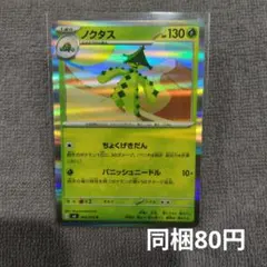 【在庫1】ノクタスまとめ買いのサムネイル