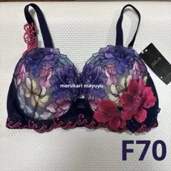 2025年最新】サルート f70の人気アイテム - メルカリ