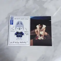 straykids スキズ SKZOO 封入 プロフィールカード バンチャン