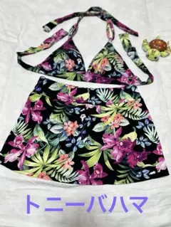 Item thumbnail for item 50c3c68b-c3e3-43f2-b873-74282ff12ec6