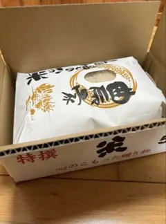 【農家直送！】大分県産ヒノヒカリ 米5キロ　精米済みのサムネイル