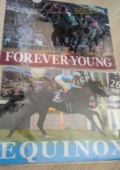 JRA ヒーロー列伝クリアファイル イクイノックス エフフォーリア