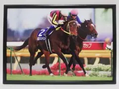 競馬 ブエナビスタ パネル Record Folder
