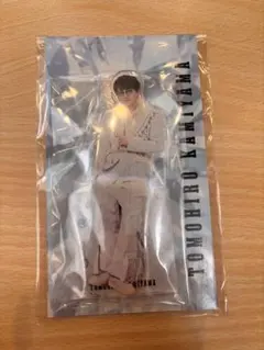 Item thumbnail for item 213415c3-0a48-4b4a-acb3-266a20499bec