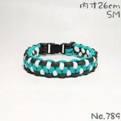 Item thumbnail for item f1a18c5f-fd44-4bea-8633-0027f29d095d