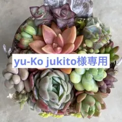 yu-Ko jukito様 リクエスト 2点 まとめ商品