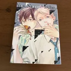 イエスかノーか半分か 3