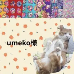 猫首輪 えり付き＋セーフティバックル ⑫-EN12-a