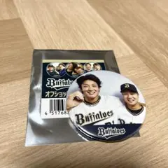 Item thumbnail for item 29f518b4-0589-4b58-ae48-faf848052c91