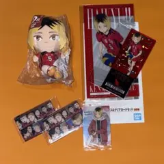 ハイキュー 孤爪研磨　ぬいもっち フリューくじ マスコット　チケットケース