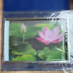 Item thumbnail for item 5474ac6f-dee9-41d0-aba1-818d876883c8