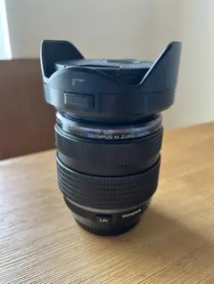 Item thumbnail for item 70832ac8-8f8b-4cde-998c-5d2d7cc82ede