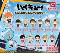 ハイキュー　めじるしアクセサリー　日向翔陽