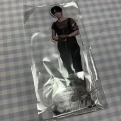 Stray Kids GIANT アクスタ リノ