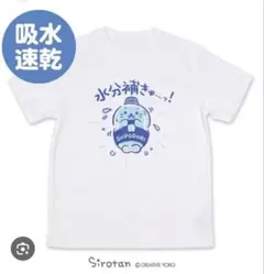 【未使用】しろたん水分補きゅ　吸水速乾Tシャツ　Mサイズのサムネイル