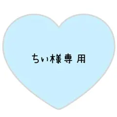 ちい様専用ページ⸜❤︎⸝フルオーダー　しの