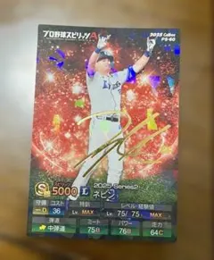 こ*ま様 2025 カルビー プロ野球チップス ネビン