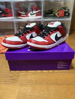Nike SB Dunk Low 