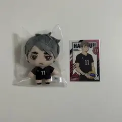 2025年最新】ハイキュー セガラッキーくじ ぬいぐるみ 宮治の