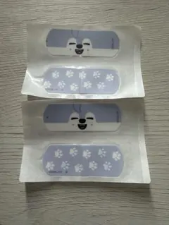 StrayKids SKZOO チャームエイド バンチャン