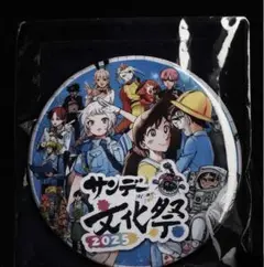 サンデー文化祭　2025 会場限定　缶バッジ　スペシャルスタンプラリー　コナン