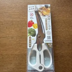 Item thumbnail for item 7dd52686-37b0-4767-b5e6-6bb8fcafb854