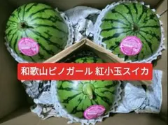 限定品。和歌山ピノガール紅小玉スイカ秀品Ｓ3玉入。約総重量4〜kg。ギフトのサムネイル